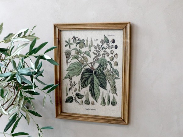 Bild Pflanzenmotiv Rahmen Antik Natur Shabby Vintage Landhaus Wandbild Deko Klein