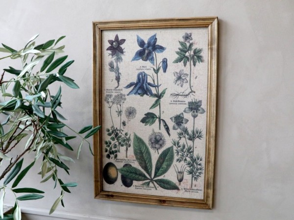 Bild Pflanzenmotiv Rahmen Antik Natur Shabby Vintage Landhaus Wandbild Deko Gross Gardinen Wohnen Dekorieren Fraulein Frohlich Dekoshop